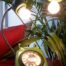 Avocado Green Retro Telephone Lamp