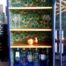 Peacock Drinks Cocktail Cabinet